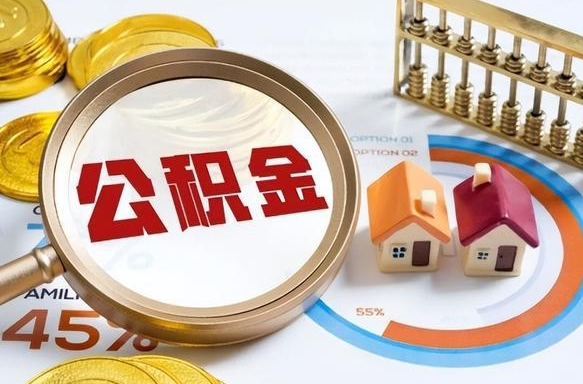 公积金怎么一次性全部提取-阳江公积金代办平台